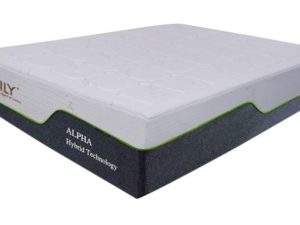 Mlily Alpha 1000 Mattress