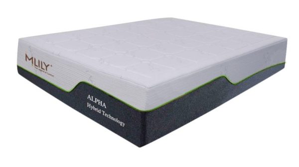 Mlily Alpha Ortho 1000 Mattress