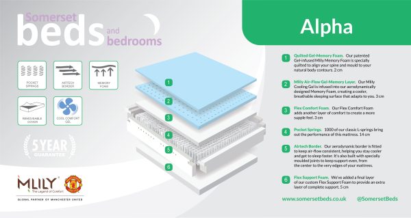 Mlily Alpha 1000 Mattress