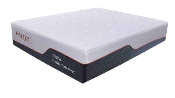 Mlily Beta 2000 Mattress