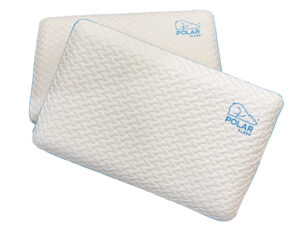 Polar Pillow