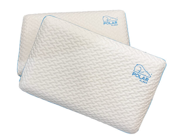 Polar Pillow