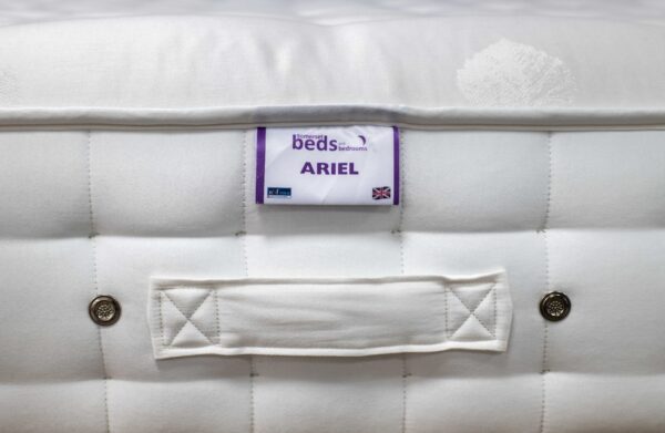Ariel Name Tag