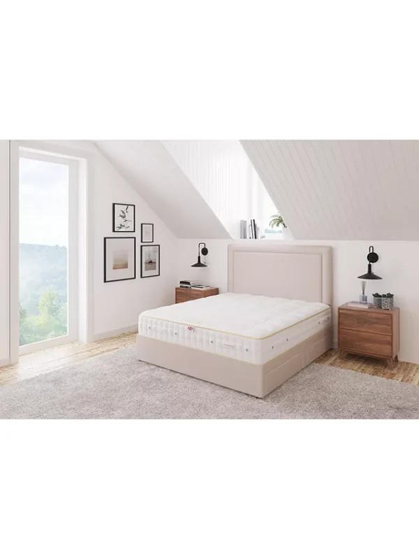 Millbrook Opulent Supreme 5000