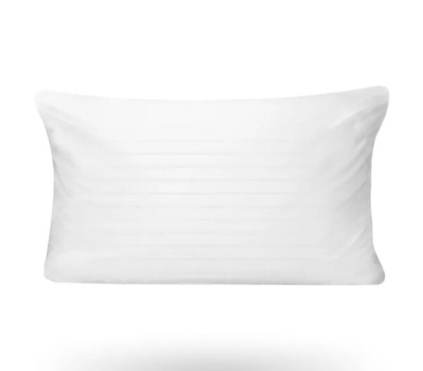 Duck and Down Pillow
