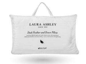 Duck and Down Pillow