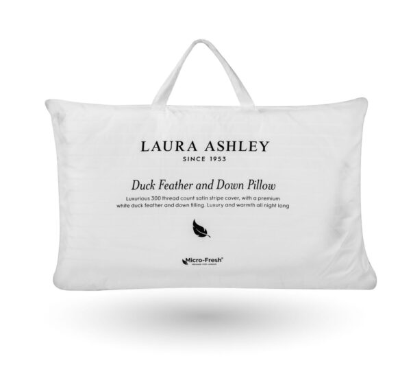 Duck and Down Pillow