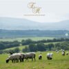 The Dartmoor Mattress