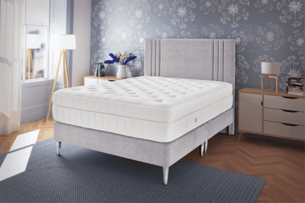 Kaymed Paradise 2500
